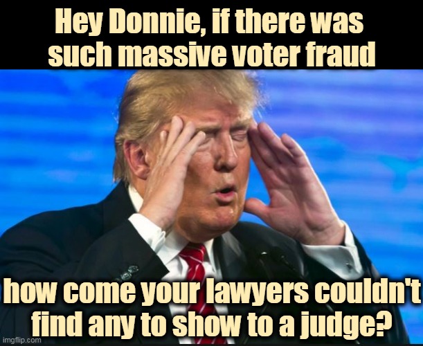 He's bullsh*tting again. | Hey Donnie, if there was 
such massive voter fraud; how come your lawyers couldn't find any to show to a judge? | image tagged in trump,busted,liar in chief | made w/ Imgflip meme maker