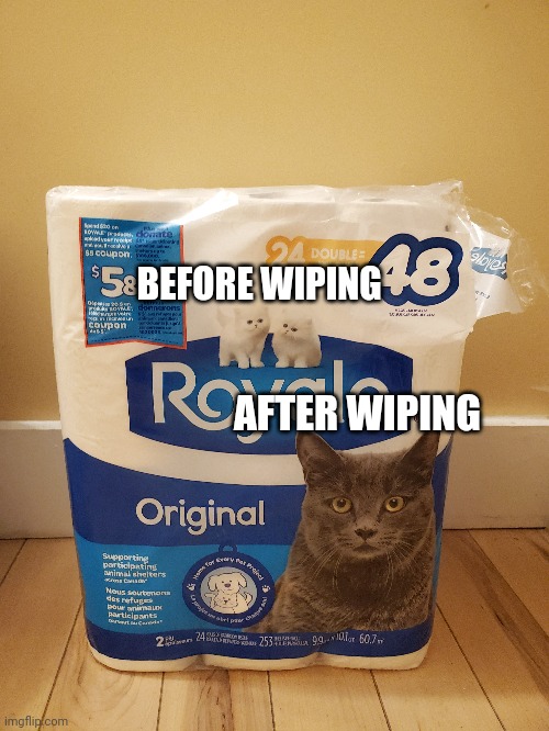 Just noticed | BEFORE WIPING; AFTER WIPING | image tagged in toilet paper,memes,cats | made w/ Imgflip meme maker