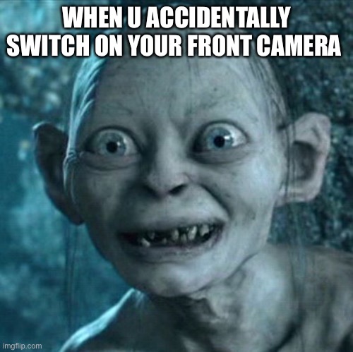 Selfie | WHEN U ACCIDENTALLY SWITCH ON YOUR FRONT CAMERA | image tagged in memes,gollum | made w/ Imgflip meme maker