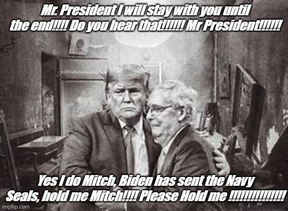 White House Bunker | Mr. President I will stay with you until the end!!!! Do you hear that!!!!!! Mr President!!!!!! Yes I do Mitch, Biden has sent the Navy Seals, hold me Mitch!!!! Please Hold me !!!!!!!!!!!!!!! | image tagged in donald trump and mitch mcconnell hiding in bunker,img | made w/ Imgflip meme maker