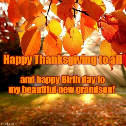 Best Thanksgiving Ever! | Happy Thanksgiving to all; and happy Birth day to my beautiful new grandson! | image tagged in fall leaves,thanksgiving,grateful,blessings | made w/ Imgflip meme maker