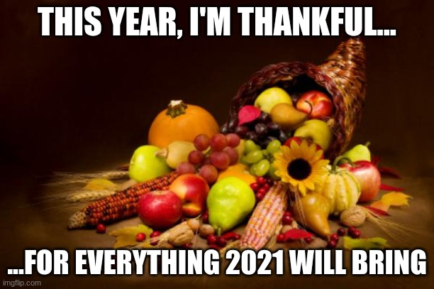 Thanksgiving | THIS YEAR, I'M THANKFUL... ...FOR EVERYTHING 2021 WILL BRING | image tagged in thanksgiving | made w/ Imgflip meme maker