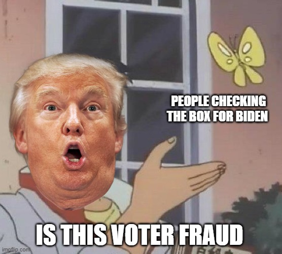 Is This A Pigeon | PEOPLE CHECKING THE BOX FOR BIDEN; IS THIS VOTER FRAUD | image tagged in memes,is this a pigeon | made w/ Imgflip meme maker