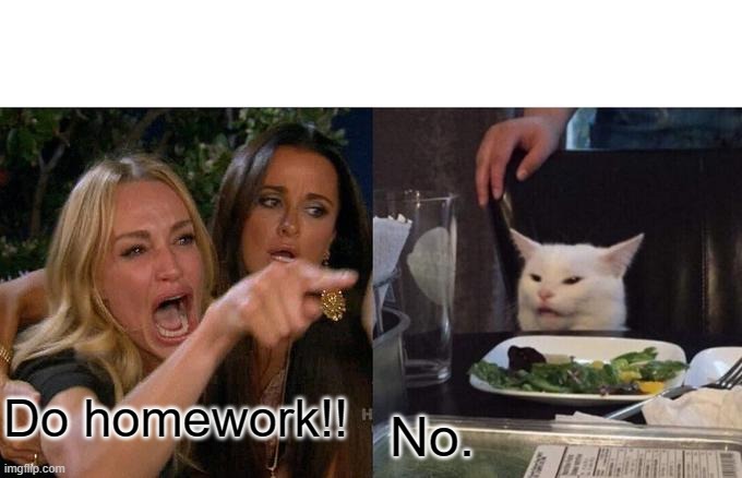 Woman Yelling At Cat | Do homework!! No. | image tagged in memes,woman yelling at cat | made w/ Imgflip meme maker