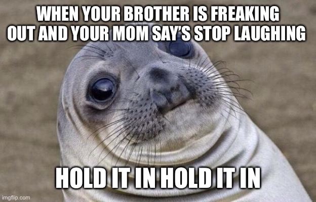 Why must it be this why | WHEN YOUR BROTHER IS FREAKING OUT AND YOUR MOM SAY’S STOP LAUGHING; HOLD IT IN HOLD IT IN | image tagged in memes,awkward moment sealion | made w/ Imgflip meme maker