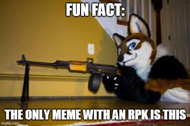 Furry RPK | FUN FACT: THE ONLY MEME WITH AN RPK IS THIS | image tagged in furry rpk | made w/ Imgflip meme maker