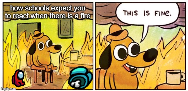 This Is Fine | how schools expect you to react when there is a fire | image tagged in memes,this is fine | made w/ Imgflip meme maker