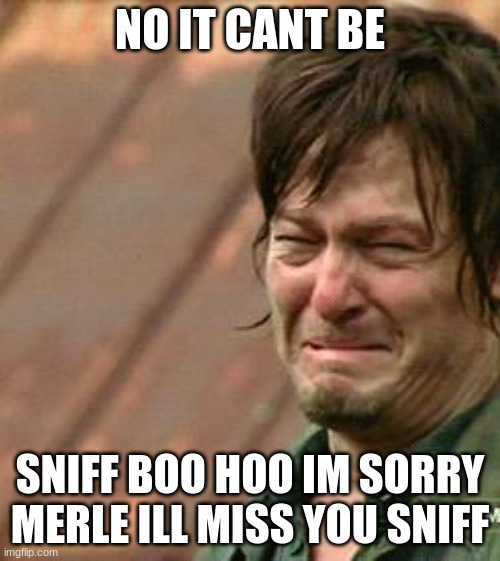 Daryl Walking dead | NO IT CANT BE; SNIFF BOO HOO IM SORRY MERLE ILL MISS YOU SNIFF | image tagged in daryl walking dead | made w/ Imgflip meme maker