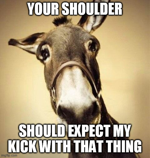 Mule | YOUR SHOULDER SHOULD EXPECT MY KICK WITH THAT THING | image tagged in mule | made w/ Imgflip meme maker
