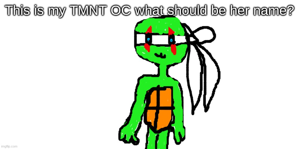 This is my TMNT OC what should be her name? | made w/ Imgflip meme maker