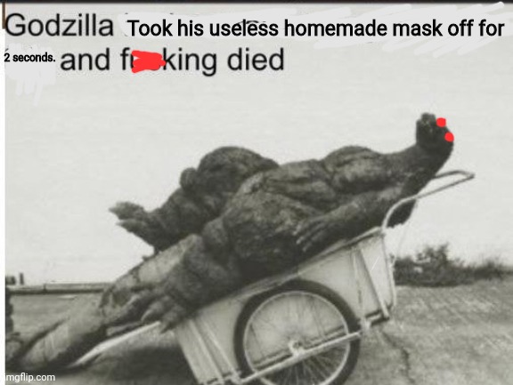 Godzilla | Took his useless homemade mask off for 2 seconds. | image tagged in godzilla | made w/ Imgflip meme maker