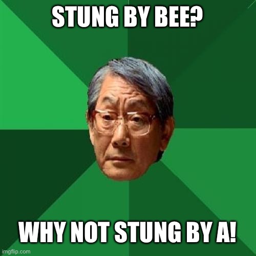 High Expectations Asian Father |  STUNG BY BEE? WHY NOT STUNG BY A! | image tagged in memes,high expectations asian father | made w/ Imgflip meme maker