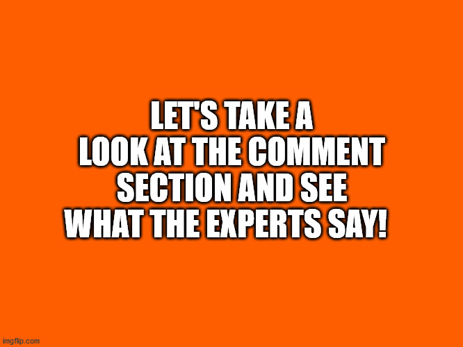 Let's see what the experts say! | LET'S TAKE A LOOK AT THE COMMENT SECTION AND SEE WHAT THE EXPERTS SAY! | image tagged in comment section experts | made w/ Imgflip meme maker