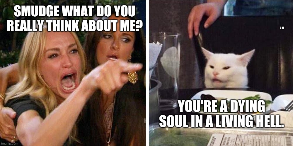 Smudge the cat | SMUDGE WHAT DO YOU REALLY THINK ABOUT ME? J M; YOU'RE A DYING SOUL IN A LIVING HELL. | image tagged in smudge the cat | made w/ Imgflip meme maker
