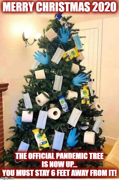 Perfect tree for 2020 | MERRY CHRISTMAS 2020; THE OFFICIAL PANDEMIC TREE
 IS NOW UP... 
YOU MUST STAY 6 FEET AWAY FROM IT! | image tagged in christmas,christmas tree,2020,2020 sucks,pandemic | made w/ Imgflip meme maker