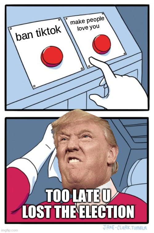 hmmmm....fck | make people love you; ban tiktok; TOO LATE U LOST THE ELECTION | image tagged in memes,two buttons | made w/ Imgflip meme maker
