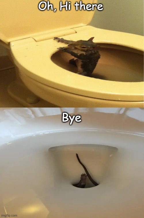 LOL why you flush him? He just want to be friends with us... | Oh, Hi there; Bye | made w/ Imgflip meme maker