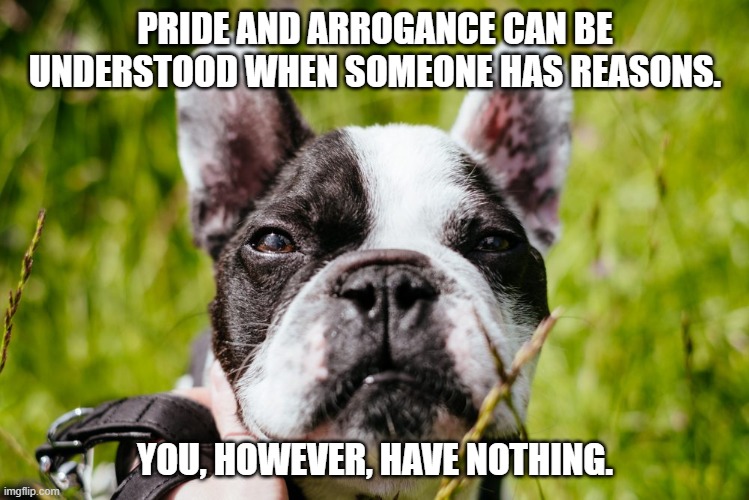 Contemptuous French Bulldog is Contemptuous | PRIDE AND ARROGANCE CAN BE UNDERSTOOD WHEN SOMEONE HAS REASONS. YOU, HOWEVER, HAVE NOTHING. | image tagged in contemptuous french bulldog | made w/ Imgflip meme maker