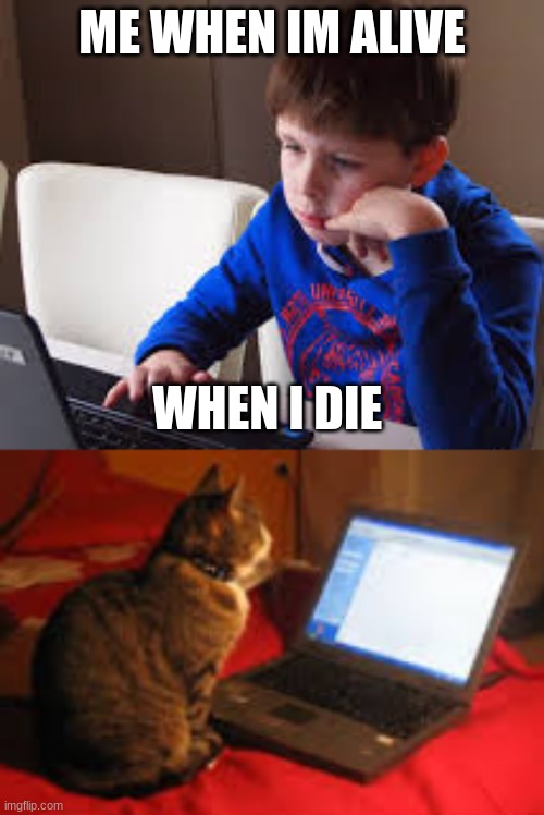 me then cat me | ME WHEN IM ALIVE; WHEN I DIE | image tagged in cats | made w/ Imgflip meme maker