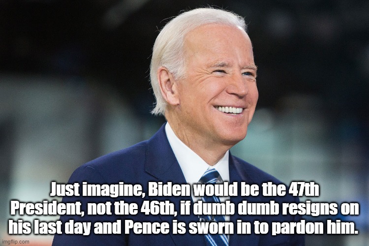 the president | Just imagine, Biden would be the 47th President, not the 46th, if dumb dumb resigns on his last day and Pence is sworn in to pardon him. | image tagged in joe biden | made w/ Imgflip meme maker
