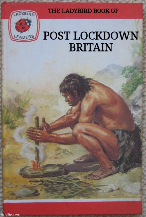 Post Lockdown Britain | THE LADYBIRD BOOK OF; POST LOCKDOWN
BRITAIN | image tagged in lockdown,covid,covid 19,coronavirus meme,coronavirus | made w/ Imgflip meme maker