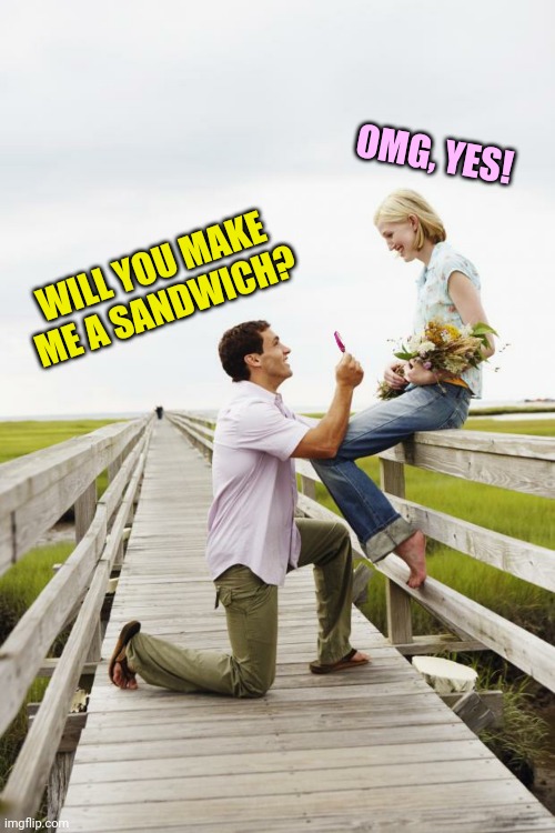 WILL YOU MAKE ME A SANDWICH? OMG, YES! | made w/ Imgflip meme maker