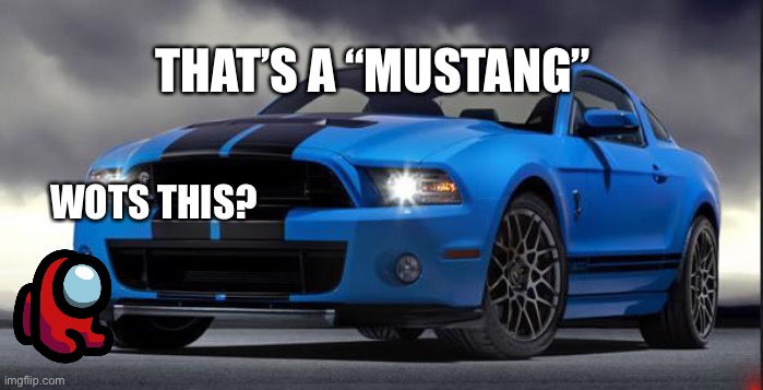 Mustang | THAT’S A “MUSTANG”; WOTS THIS? | image tagged in mustang | made w/ Imgflip meme maker