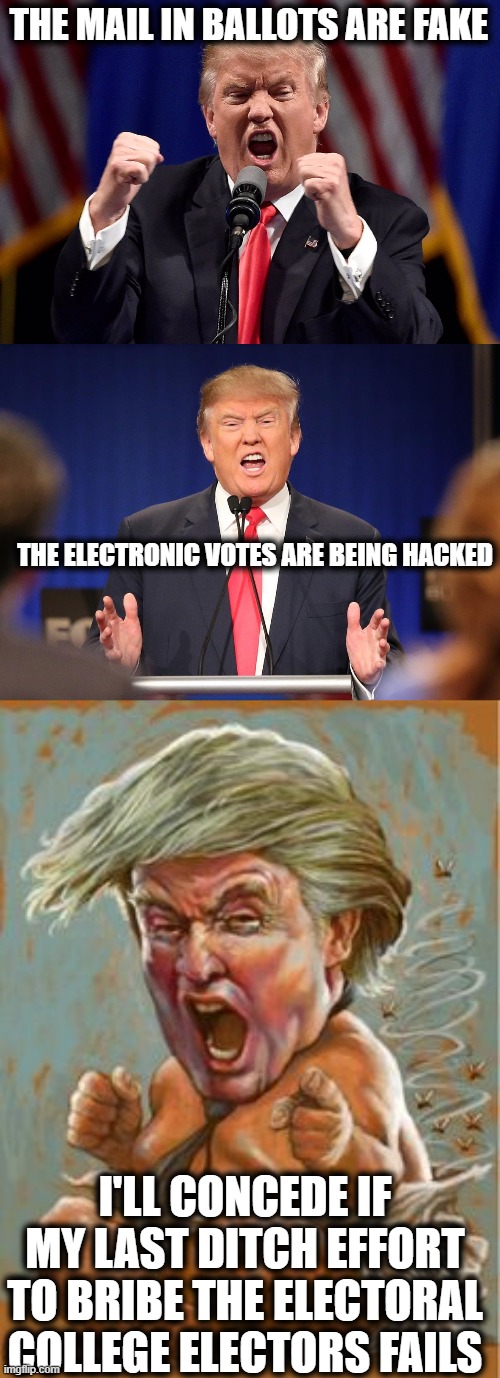 My wish for 2021, trump faces felony election interference charges. | THE MAIL IN BALLOTS ARE FAKE; THE ELECTRONIC VOTES ARE BEING HACKED; I'LL CONCEDE IF MY LAST DITCH EFFORT TO BRIBE THE ELECTORAL COLLEGE ELECTORS FAILS | image tagged in memes,politics,donald trump is an idiot,corruption,election 2020,maga | made w/ Imgflip meme maker
