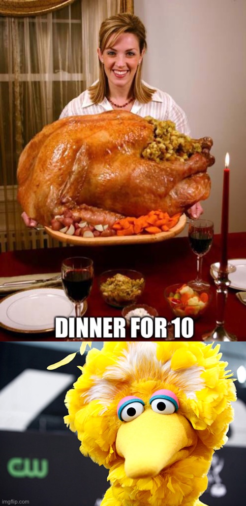 Poor Big Bird | image tagged in funny memes,funny thanksgiving memes,big bird,thanksgiving | made w/ Imgflip meme maker