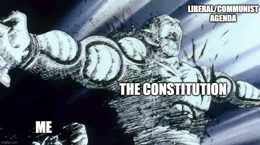 Communist | LIBERAL/COMMUNIST AGENDA; THE CONSTITUTION; ME | image tagged in democratic party | made w/ Imgflip meme maker