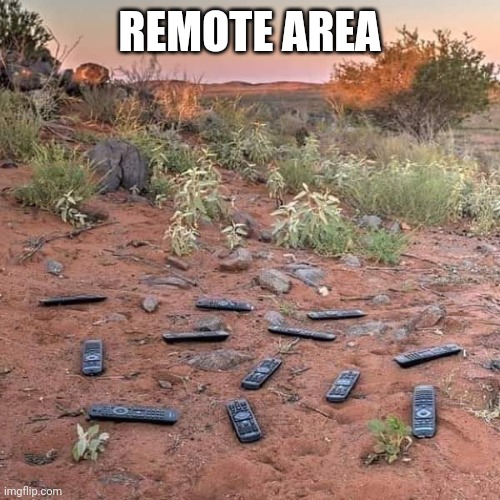 Remote Area | REMOTE AREA | image tagged in remote area | made w/ Imgflip meme maker