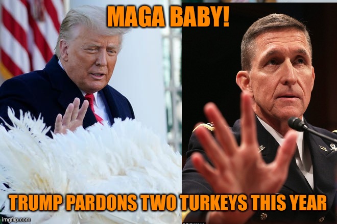 MAGAverse baby! Flynn guilty plea gets a second Turkey pardon | MAGA BABY! TRUMP PARDONS TWO TURKEYS THIS YEAR | image tagged in jealous donald,donald trump,michael flynn,maga,voter fraud,lies | made w/ Imgflip meme maker