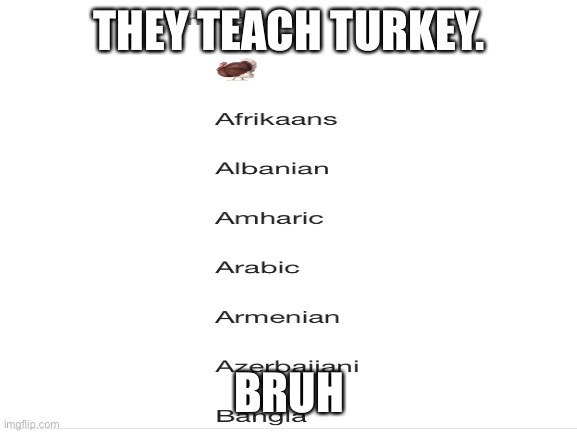 I didn’t know they teach turkey | THEY TEACH TURKEY. BRUH | image tagged in bruh | made w/ Imgflip meme maker