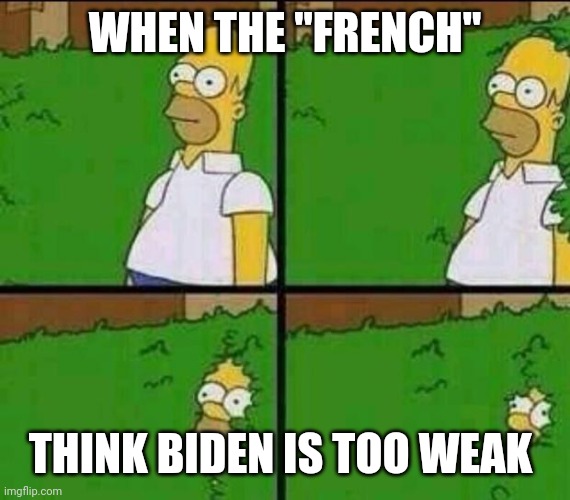 Politics and stuff | WHEN THE "FRENCH"; THINK BIDEN IS TOO WEAK | image tagged in homer simpson in bush - large | made w/ Imgflip meme maker