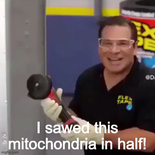 I Sawed This Boat In Half | I sawed this mitochondria in half! | image tagged in i sawed this boat in half | made w/ Imgflip meme maker