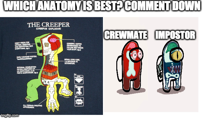 Anatomy | WHICH ANATOMY IS BEST? COMMENT DOWN; CREWMATE     IMPOSTOR | image tagged in memes | made w/ Imgflip meme maker