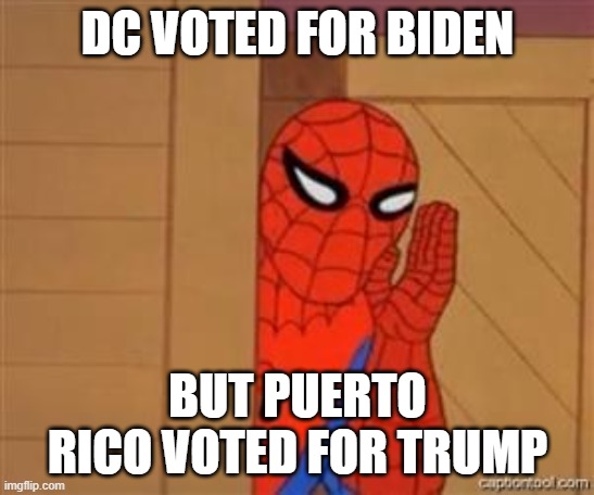 psst spiderman | DC VOTED FOR BIDEN BUT PUERTO RICO VOTED FOR TRUMP | image tagged in psst spiderman | made w/ Imgflip meme maker