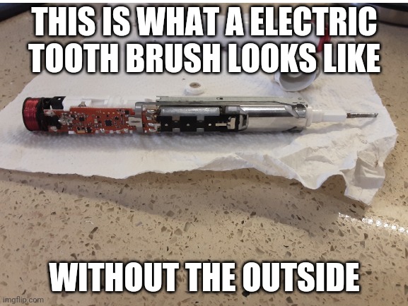 random | THIS IS WHAT A ELECTRIC TOOTH BRUSH LOOKS LIKE; WITHOUT THE OUTSIDE | image tagged in infowars | made w/ Imgflip meme maker