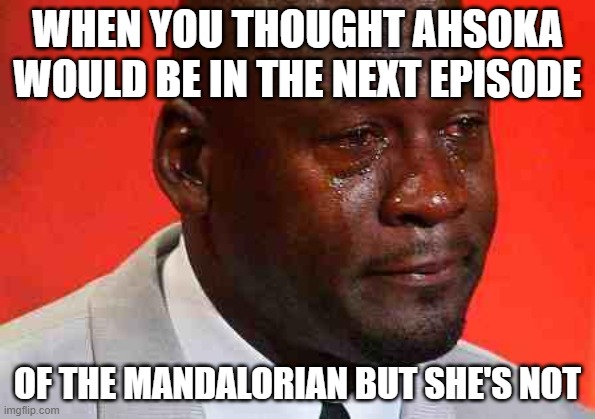 crying michael jordan | WHEN YOU THOUGHT AHSOKA WOULD BE IN THE NEXT EPISODE; OF THE MANDALORIAN BUT SHE'S NOT | image tagged in crying michael jordan | made w/ Imgflip meme maker