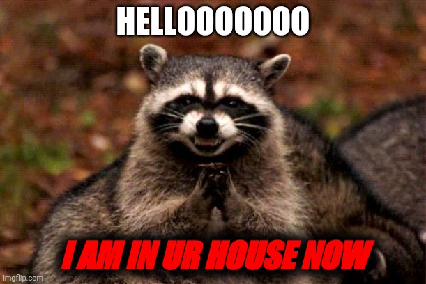 because you are looking at dis in you're house *probably* | HELLOOOOOOO; I AM IN UR HOUSE NOW | image tagged in memes,evil plotting raccoon | made w/ Imgflip meme maker