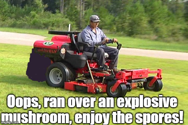 Never trust those fat mushrooms. | Oops, ran over an explosive mushroom, enjoy the spores! | image tagged in landscaper on a riding lawn mower | made w/ Imgflip meme maker