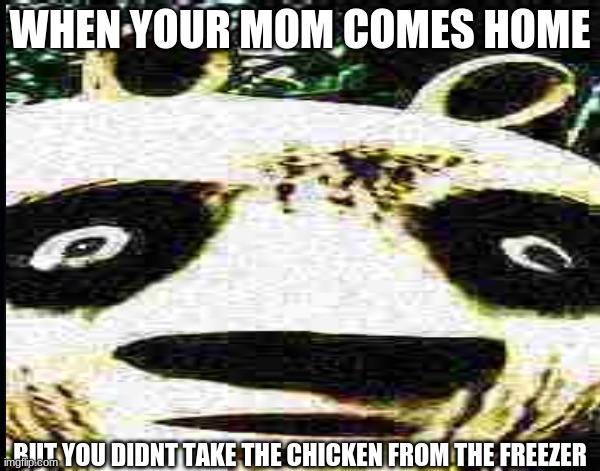 WHEN YOUR MOM COMES HOME; BUT YOU DIDNT TAKE THE CHICKEN FROM THE FREEZER | image tagged in kung fu panda | made w/ Imgflip meme maker