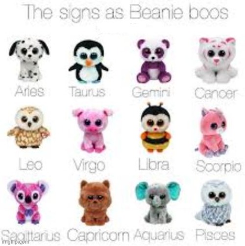 The signs as beanie boos <3 | image tagged in beanie boo,zodiac,animals,cute | made w/ Imgflip meme maker