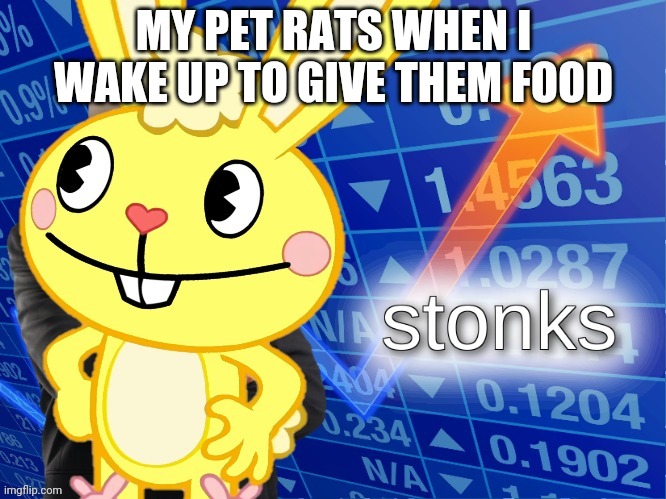 Stonks | MY PET RATS WHEN I WAKE UP TO GIVE THEM FOOD | image tagged in htf stonks | made w/ Imgflip meme maker
