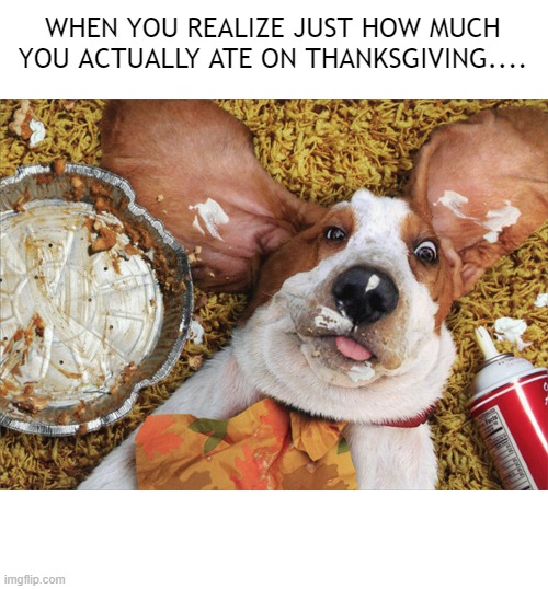 Ate too much on Thanksgiving | WHEN YOU REALIZE JUST HOW MUCH YOU ACTUALLY ATE ON THANKSGIVING.... | image tagged in pets,funny memes,thanksgiving,funny dogs | made w/ Imgflip meme maker