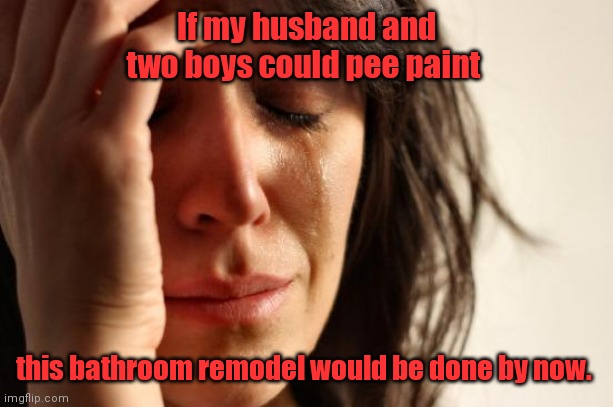 Faster than Bath Fitters | If my husband and two boys could pee paint; this bathroom remodel would be done by now. | image tagged in memes,first world problems,funny | made w/ Imgflip meme maker