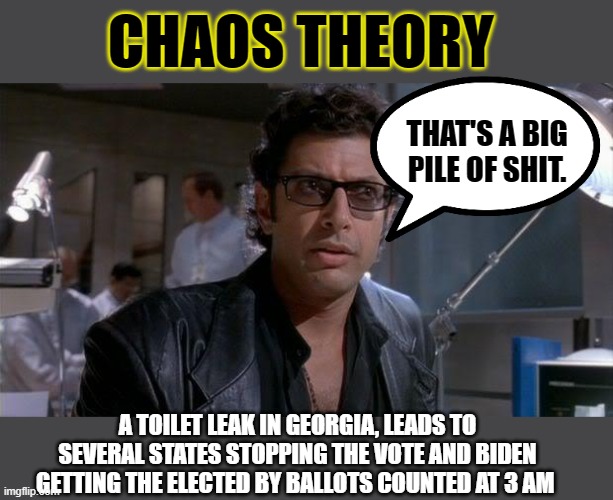 Call the plumber | CHAOS THEORY; THAT'S A BIG PILE OF SHIT. A TOILET LEAK IN GEORGIA, LEADS TO SEVERAL STATES STOPPING THE VOTE AND BIDEN GETTING THE ELECTED BY BALLOTS COUNTED AT 3 AM | image tagged in donald trump,joe biden,election fraud,election 2020,trump fake news | made w/ Imgflip meme maker