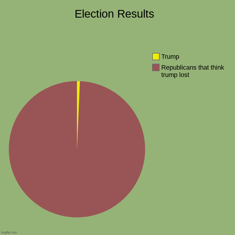 Election Results  | Republicans that think trump lost , Trump | image tagged in charts,pie charts | made w/ Imgflip chart maker