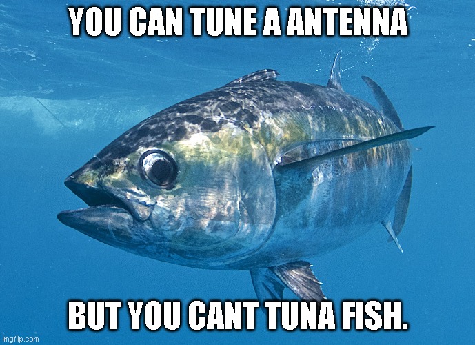 Tuna fish | YOU CAN TUNE A ANTENNA; BUT YOU CANT TUNA FISH. | image tagged in tuna fish | made w/ Imgflip meme maker