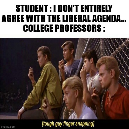 Am I right ? | STUDENT : I DON'T ENTIRELY AGREE WITH THE LIBERAL AGENDA...
COLLEGE PROFESSORS : | image tagged in tough guy finger snapping,memes,college professor,propaganda,liberal agenda | made w/ Imgflip meme maker